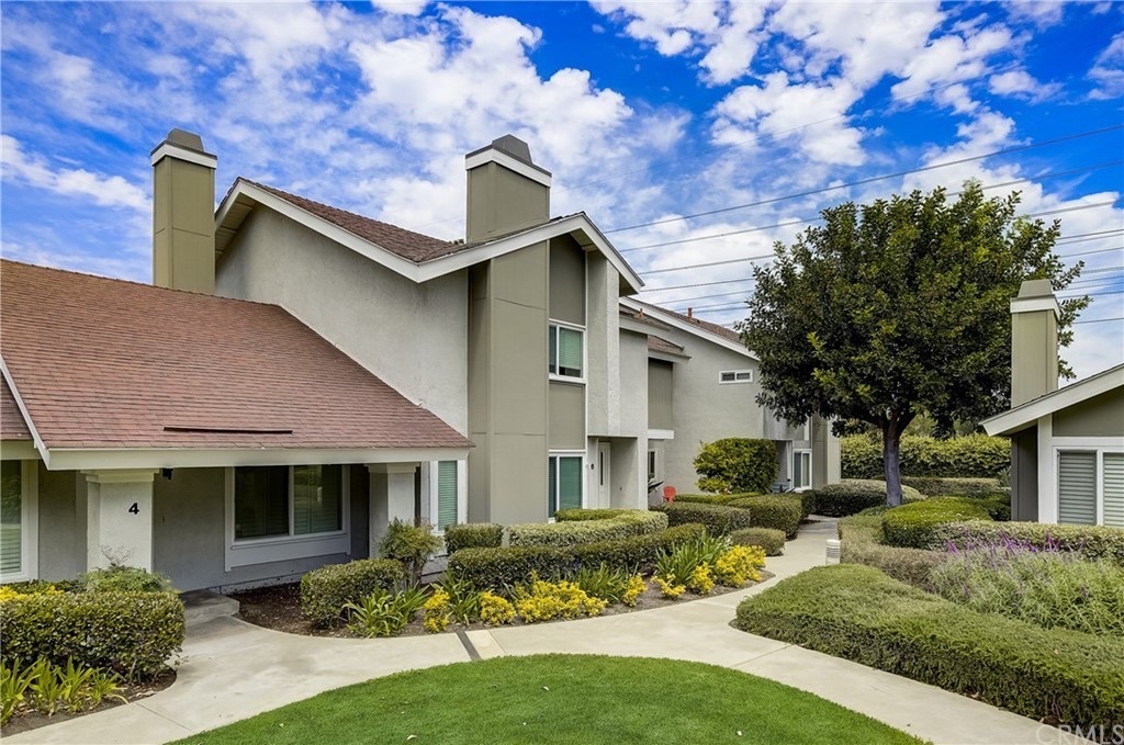 8 Goldenbush, photograph 2 of 5